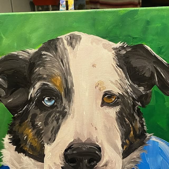 Portrait of a black and white dog with one blue eye and one brown eye on a green background