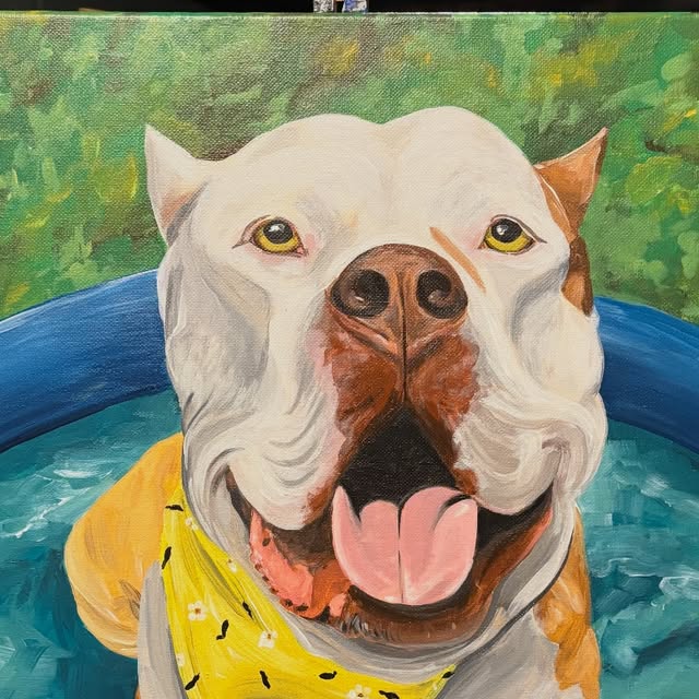 Portrait of Dharma, a smiling white and tan pit bull in a yellow bandana cooling off in a kiddie pool